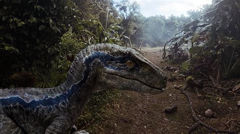 Join Blue Jurassic Worlds Lovable Velociraptor In New Vr Experience