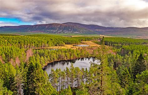 Things To Do In Aviemore And The Cairngorms National Park Cairngorms