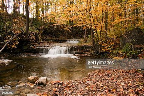 Halton Hills Photos And Premium High Res Pictures Getty Images