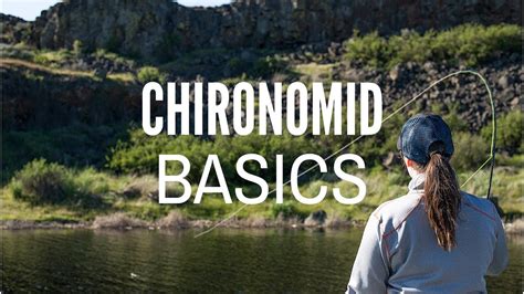 Read our executive summary about forms on the fly. Chironomid Fly Fishing Basics - YouTube