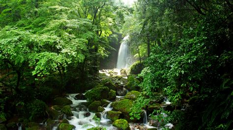 Shiraito Waterfall Kumamoto Prefecture Japan Windows Spotlight Images