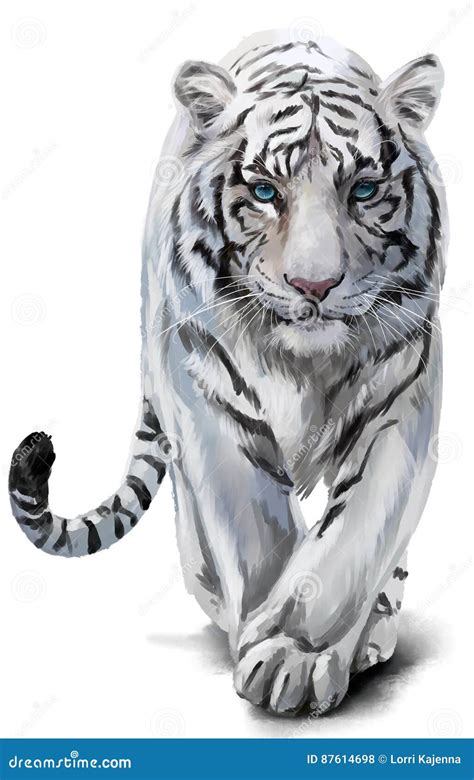 White Tiger Stock Illustrations 64 357 White Tiger Stock
