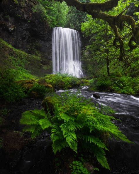 Waterfall Near Grass Field · Free Stock Photo Macro Photography