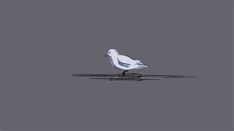 Flying Bird Animation By Warofmyart On Deviantart