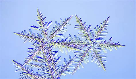 Snowflakes Photograph By Kenneth Libbrechtscience Photo Library