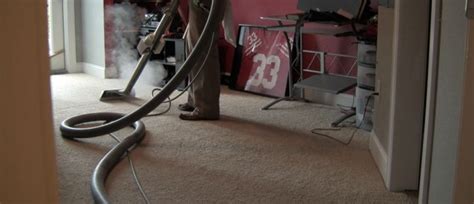 Pointe pest control has the experts you need to live a pest free life. River City Carpet Cleaning and Pest Control services