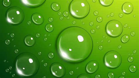 Water Drops On Green Surface Uhd 4k Wallpaper Gilded Wallpapers