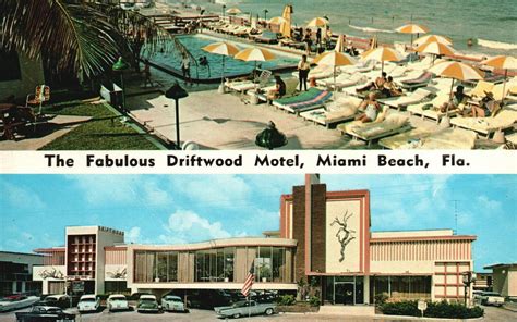 Vintage Postcard 1964 Motel Driftwood Women Tanning Pool Miami Ocean