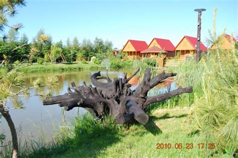 We did not find results for: Domki Letniskowe "Ranczo W Dolinie", ul. Południowa ...