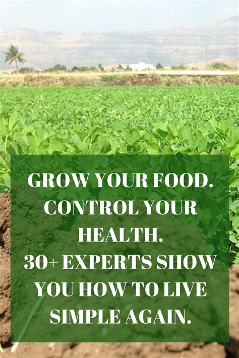 7 Reasons Why You Should Grow Your Own Food 6 Institute Of Ecolonomics