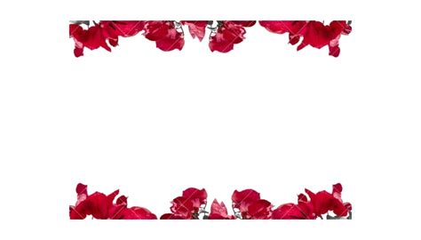 Maroon Frame Background Png Png All Png All