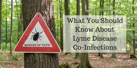 Heres What You Need To Know About Lyme Disease Co Infections