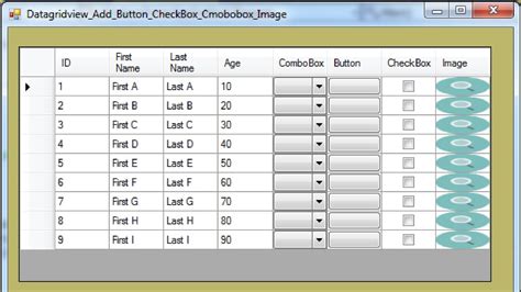 How To Add Combobox In Datagridview In Vb Net Windows Application Riset