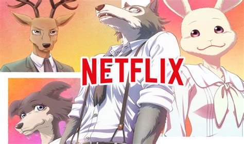 Beastars Y Netflix ¡ya Tenemos Fecha De Estreno Del Anime A Tamashi