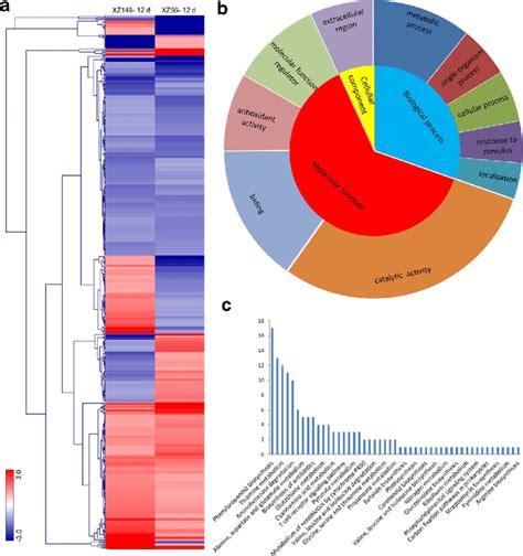 Hierarchical Cluster Gene Ontology Go Enrichment And Kegg Analysis