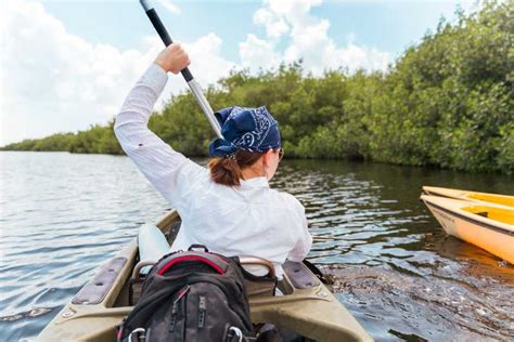 Everglades National Park Mangrove Tunnel Kayak Eco Tour Getyourguide