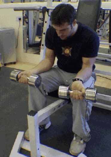 8 Forearm Exercises For Men To Maximize Strength