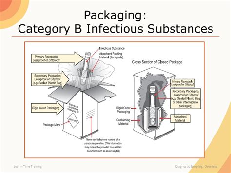 Collection Packaging Shipping Overview Ppt Download