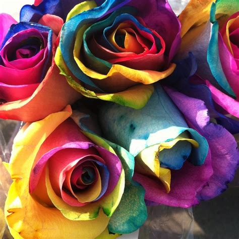 Tye Dye Roses If Anyone Ever Buys Me Flowers I Want These Crazy