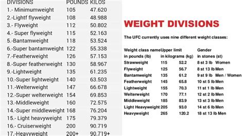 Weight Divisions In Mma Blog Dandk
