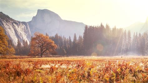 Autumn Yosemite National Park Wallpapers Wallpaper Cave