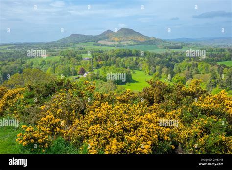 Scotland Borders Dryburgh Scotts View Towards Eildon Hills Stock