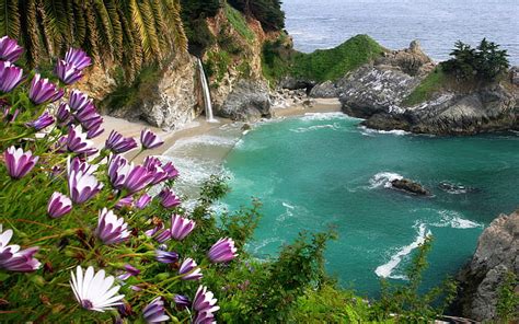 Hd Wallpaper Waterfalls Beach Coastline Earth Flower Mcway Falls