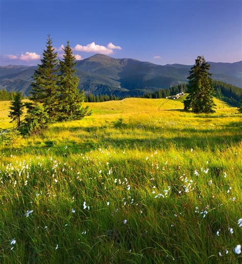 Beautiful Summer Landscape Stock Image Image Of Natural 20690193