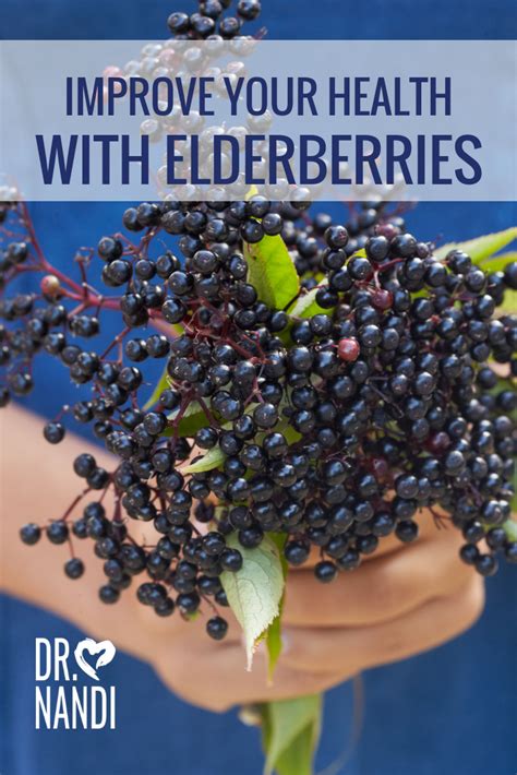Health Benefits Of Elderberries Ask Dr Nandi Official Site