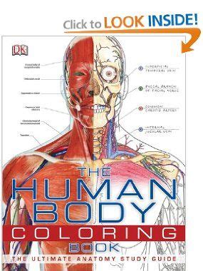 anatomy and physiology coloring workbook a complete study guide - Robbi