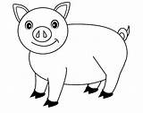 Pig Printable Template Pigs Clipart Animal Templates Coloring Shape Crafts Fan Webstockreview Peppa Premium sketch template