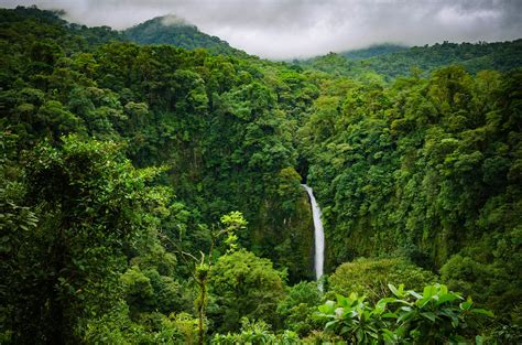 Costa Rica Recognized By The Un For Its Efforts To Combat Climate