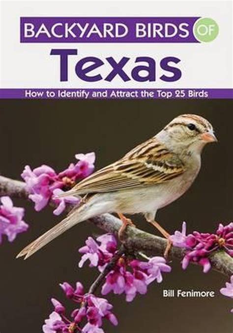 Backyard Birds Of Texas Bill Fenimore 9781423603511 Boeken