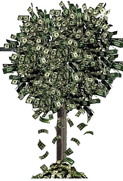 Money Tree Png Money Tree Png Transparent Free For Download On