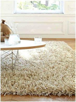 Lass den teppich im winter über nacht im freien auslüften. Hervorragend Langflor Teppich Reinigen | Stair runner ...