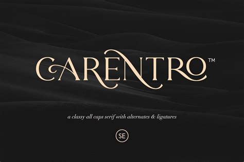 100 Best Modern Serif Fonts 2021 Design Shack