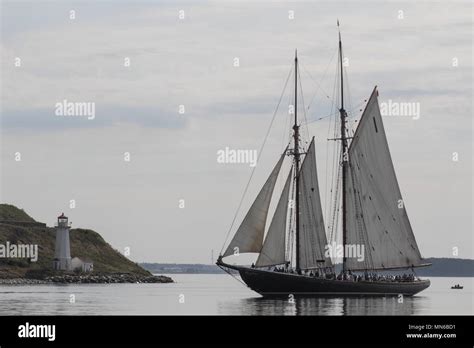 The Bluenose Ii Sailing The Halifax Harbour In Nova Scotia Stock Photo