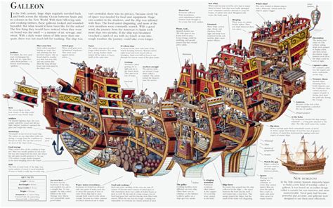 Galleon Cross Section By Stephen Biesty Old Sailing Ships Sailing