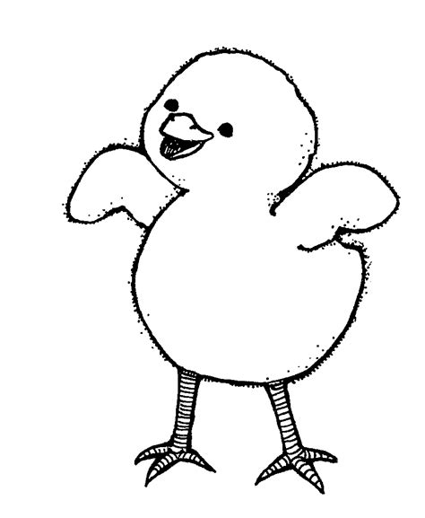 chick clipart black and white clipart best
