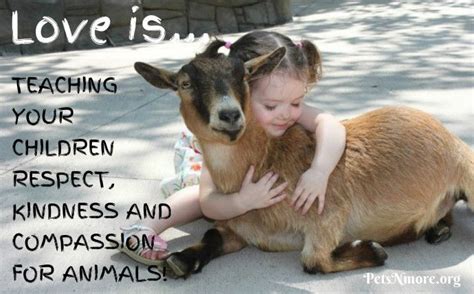 Kindness To Animals Animals Animal Quotes