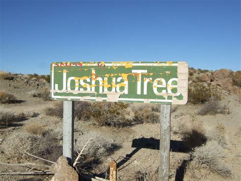 Joshua Tree Location All Pictures Media Film Locations