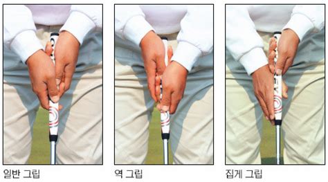 로즈마크 rosemark 퍼터그립 1.52형 (리디아고 시그니쳐모델) 32,000 원 2021년 신상품 마제스티 볼케이스 볼주머니. 퍼팅 고수 11탄!!! 집게 그립 : 네이버 블로그
