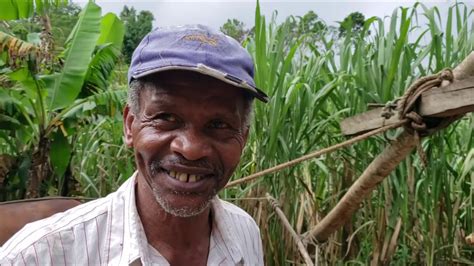 Discovered 18th Century Sugar Production Alive In Rural Jamaica