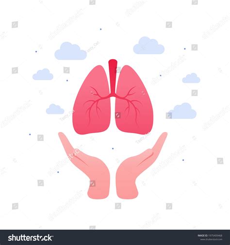 Respiratory System Disease Treatment Organ Transplantation Stock Vector