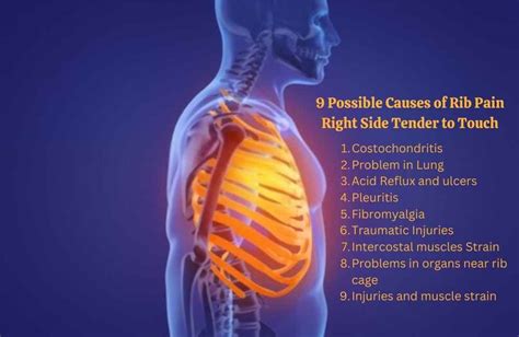 9 Possible Causes Of Rib Pain Right Side Tender To Touch