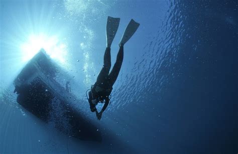13 Different Types Of Diving Explained Diving Types Love Free Diving