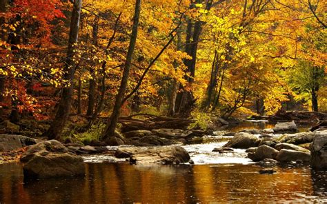 Природа осень река горы деревья леса вода камни обои для