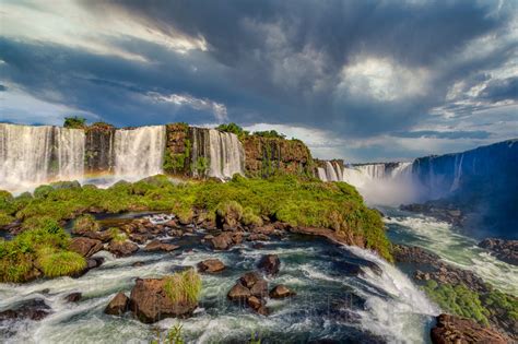 Iguazu Falls Argentinabrazil Wild Frog Photography