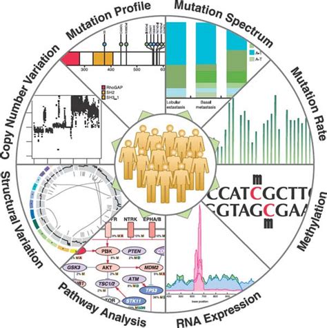 The Cancer Genome Oncohema Key