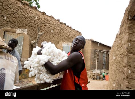 Cotton Farming Africa Hi Res Stock Photography And Images Alamy